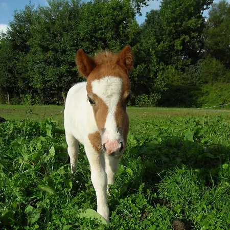 Campeggio Le Marqueval 3*