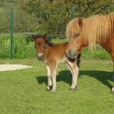 Kemping Le Marqueval Pourville-sur-Mer
