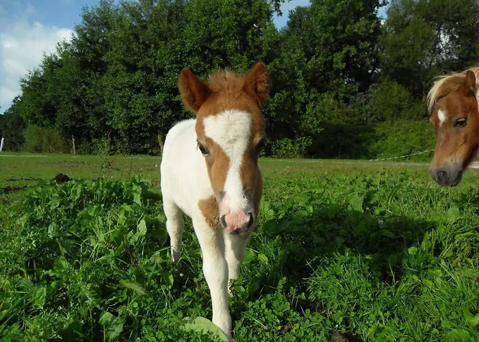 Camping Le Marqueval 3*